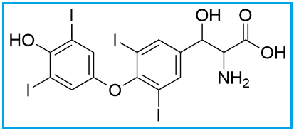 LEVOTHYROXINE BETA-HYDROXY T4 (USP) 
